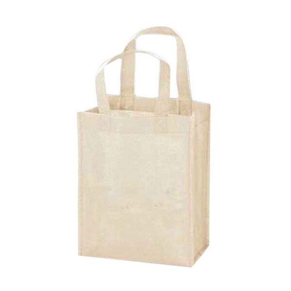 Personalized Non-woven Shopping Bag