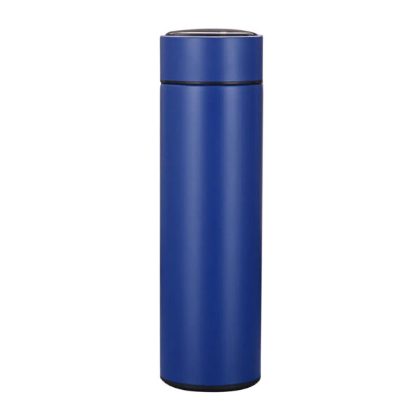 Double Insulated Thermal Bottle with Temperature Display