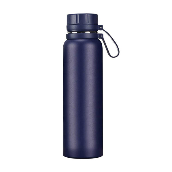 Insulated Double Wall Thermal Water Bottle with Strong Grip Handle