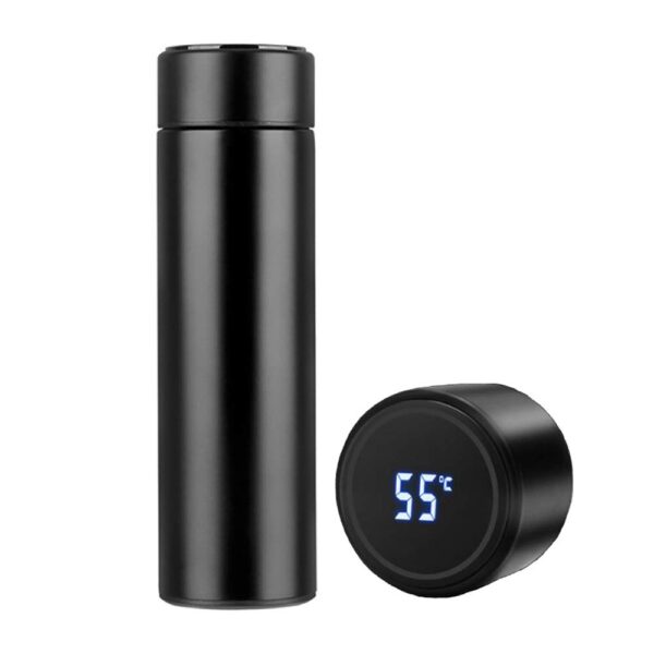 Double Insulated Thermal Bottle with Temperature Display