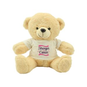 Breast-Cancer-Awareness-Teddy